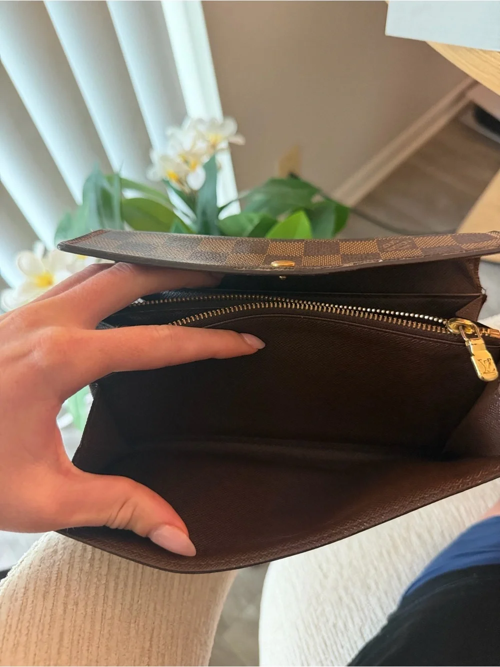 Louis Vuitton Epene Damier Women's Wallet Clutch